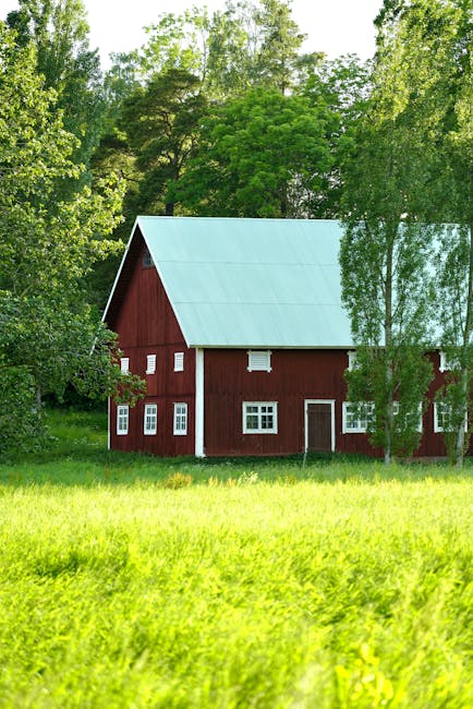 A red wooden barn with a light blue metal roof surrounded by tall, leafy green trees and a bright, grassy field. The barn features multiple small white-framed windows and a central door on the lower level. The scene is brightly lit by natural daylight, with lush foliage indicating a spring or summer season. In the context of house removals or home relocation services, this image depicts a rural property setting, illustrating the importance of careful planning and transportation of furniture and belongings when moving to or from countryside homes, as managed by Man with Van Highbury.