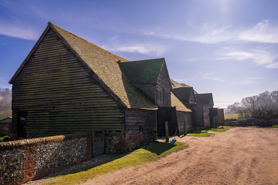 A series of aged wooden farm buildings with steep, weathered gabled roofs, situated in a rural outdoor setting during daytime. The structures are built from horizontal wooden planks, some of which appear darkened and worn, with moss and lichen growing on the roof surfaces. The buildings are aligned in a row, with the largest in the foreground and smaller ones extending into the background. A low brick and stone wall runs along the left side of the image, separating the buildings from a gravel pathway that leads up to the structures. There are a few black wooden posts and a blue shovel positioned near the base of the buildings, indicating ongoing activity or preparations for a home relocation or furniture transport project. The scene is illuminated by natural daylight, with a clear blue sky overhead and a few wispy clouds. The surroundings include a grassy patch adjacent to the gravel, and in the distance, leafless trees and rolling countryside are visible, providing a tranquil rural backdrop. This image illustrates a typical rural setting where furniture transport or moving services by Man with Van Highbury could be coordinated for house or farmyard removals.